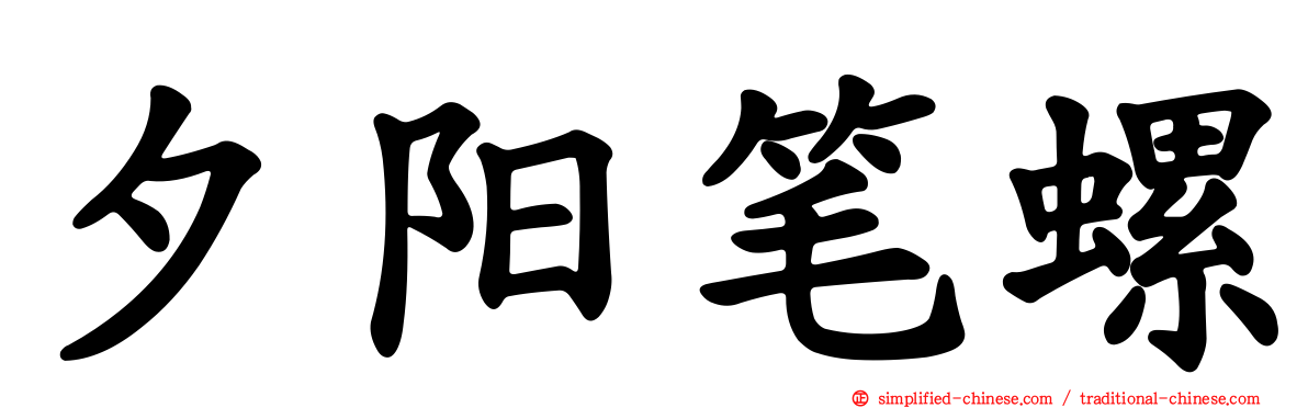 夕阳笔螺