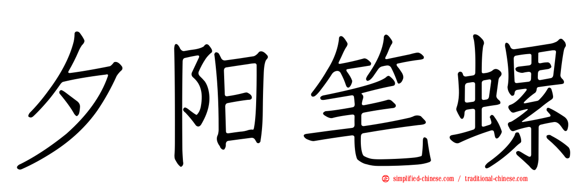 夕阳笔螺