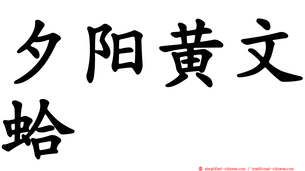 夕阳黄文蛤