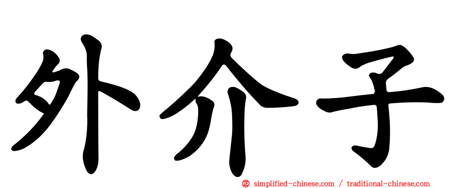 外介子