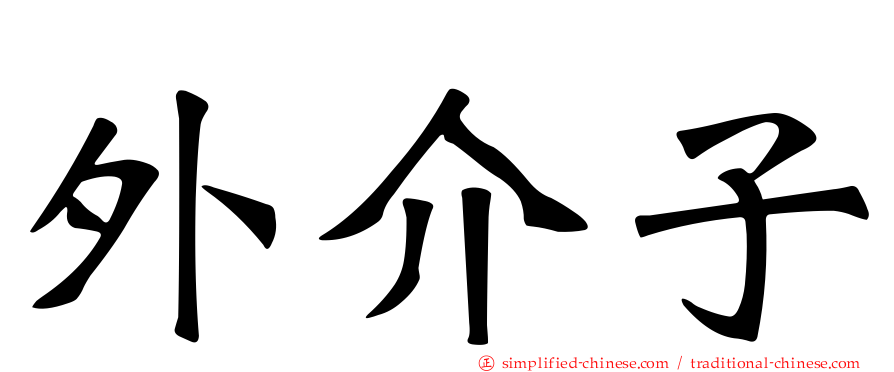 外介子