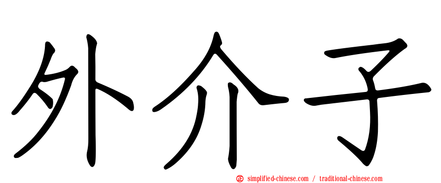 外介子