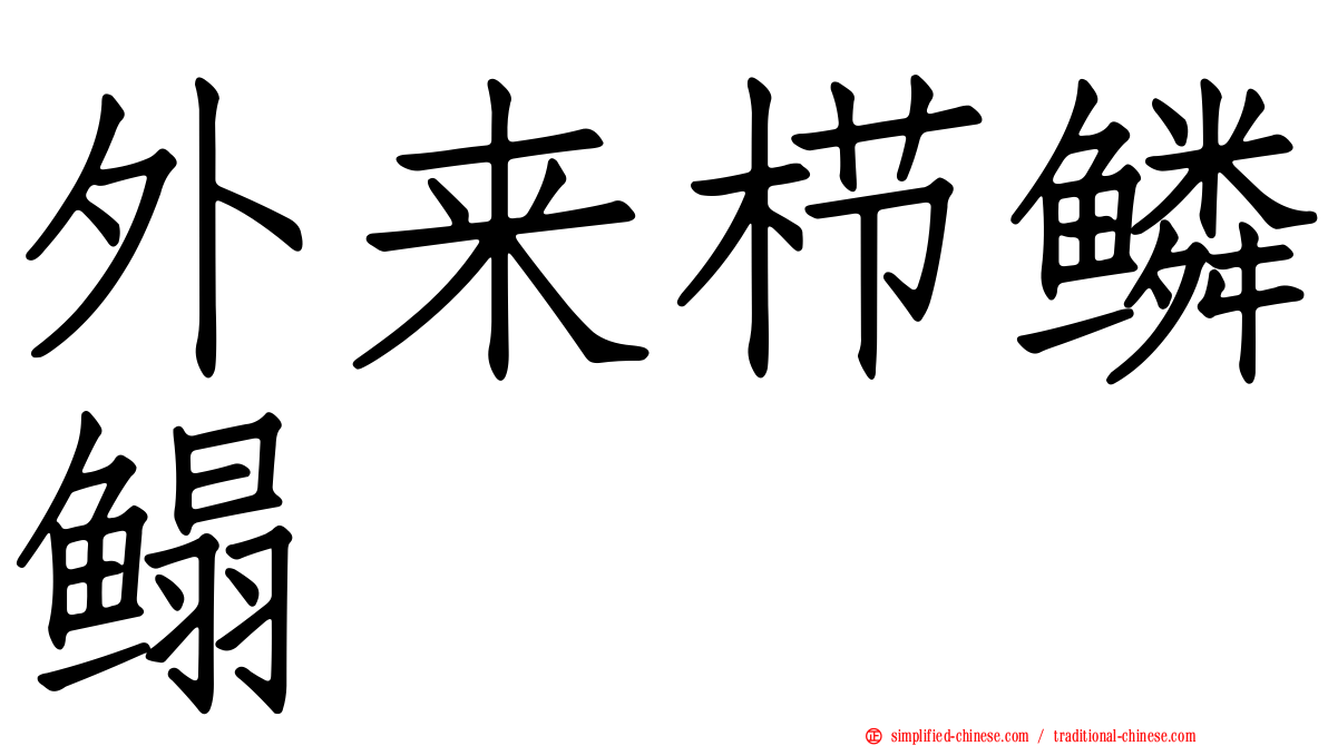 外来栉鳞鳎