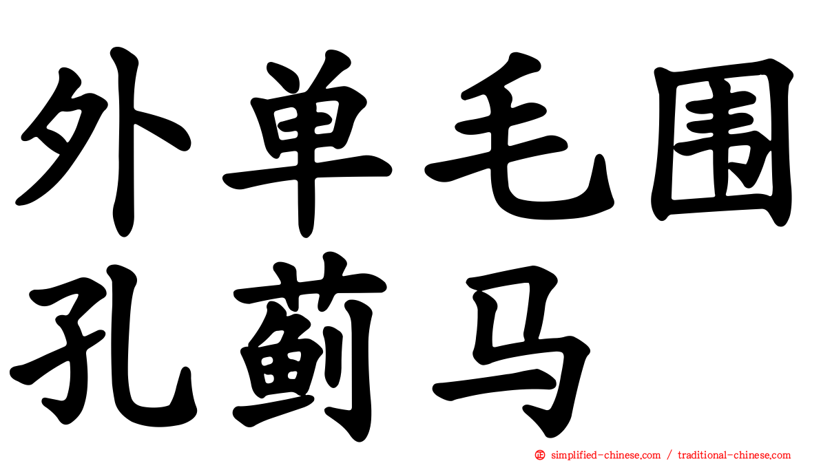 外单毛围孔蓟马