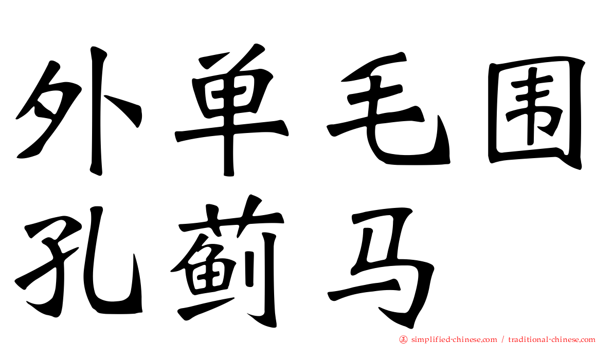 外单毛围孔蓟马