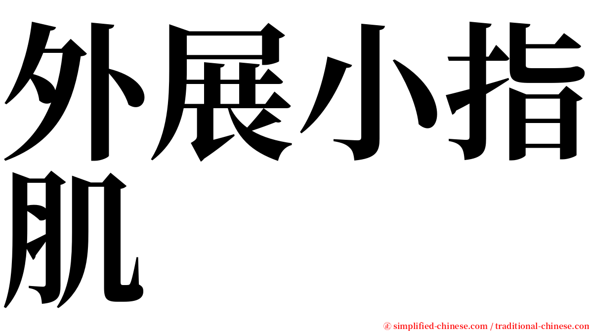 外展小指肌 serif font