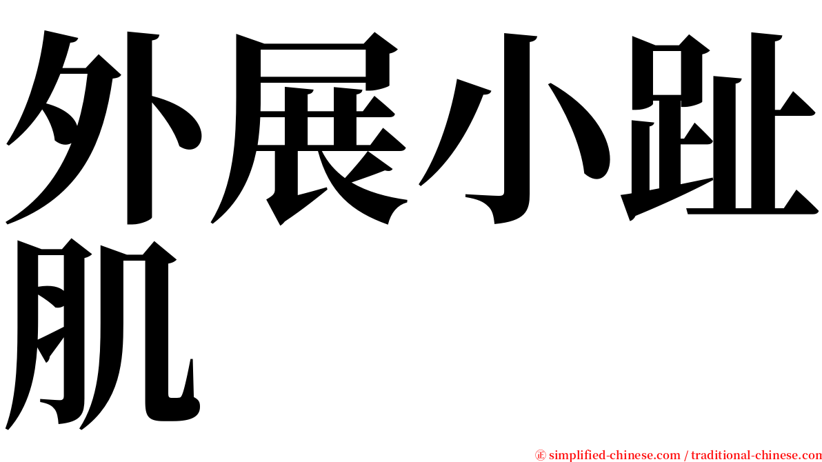 外展小趾肌 serif font
