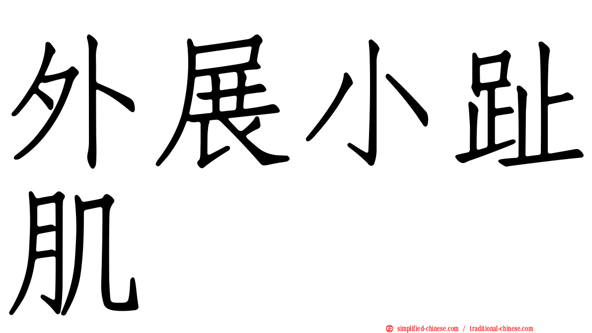 外展小趾肌