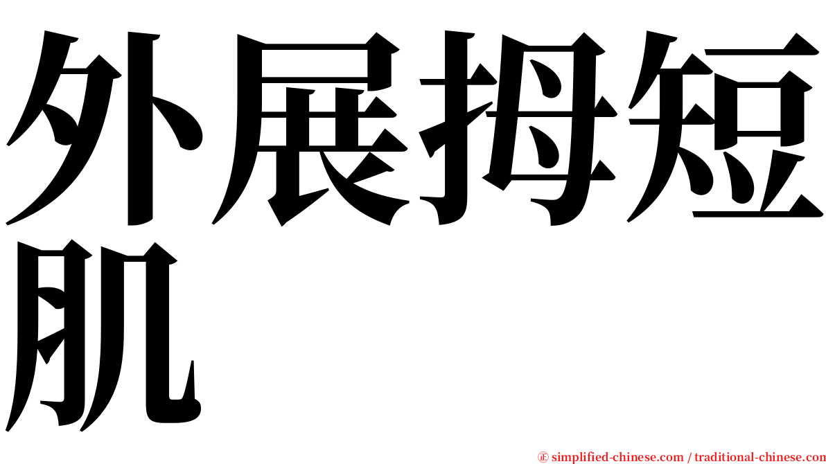 外展拇短肌 serif font