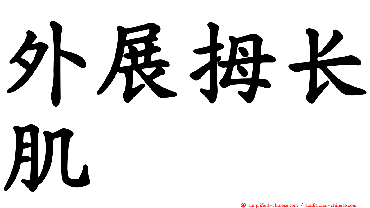 外展拇长肌
