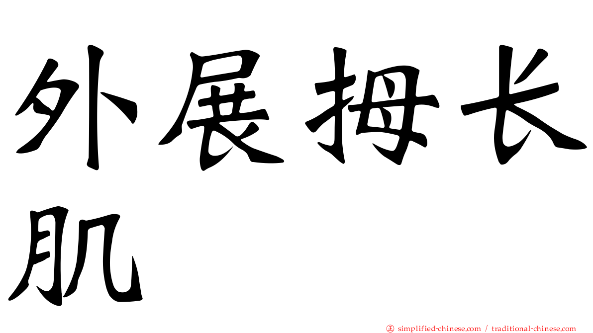 外展拇长肌