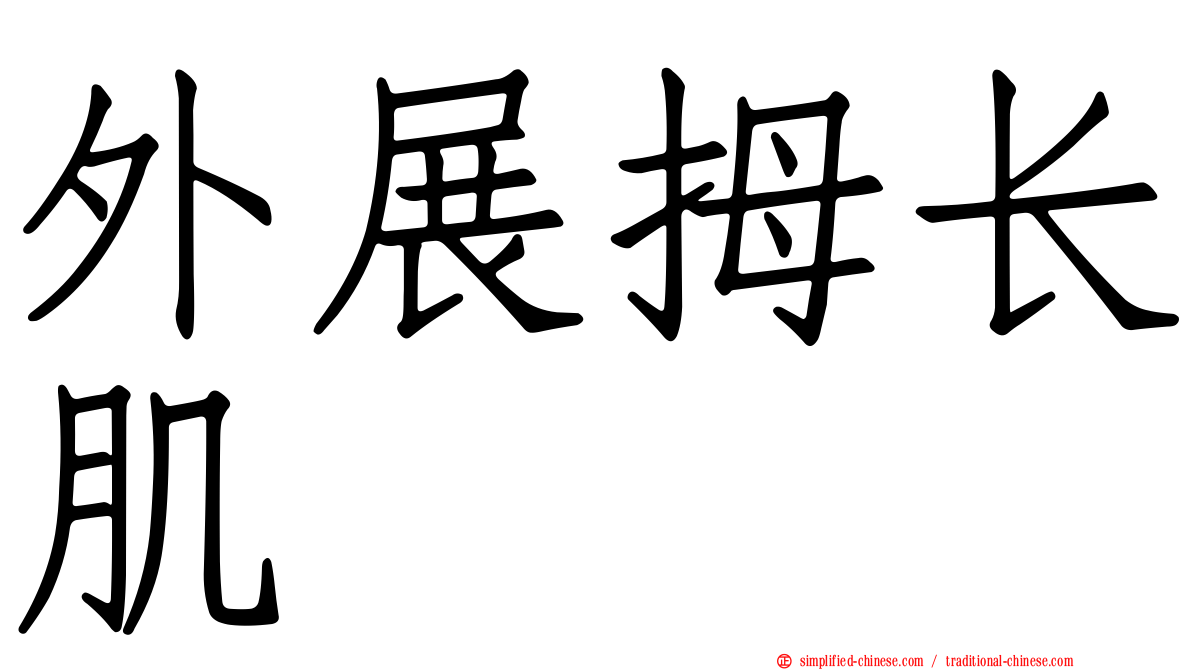外展拇长肌