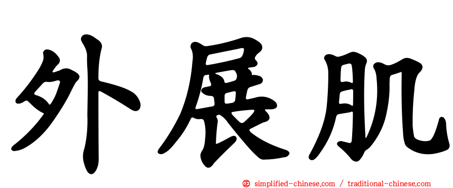 外展肌