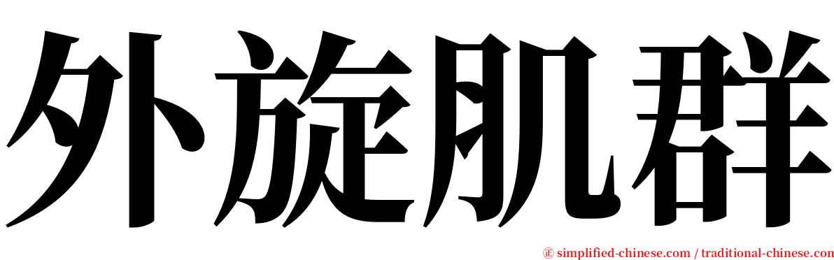外旋肌群 serif font