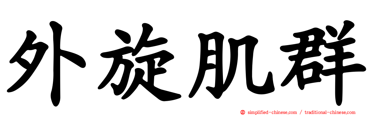 外旋肌群