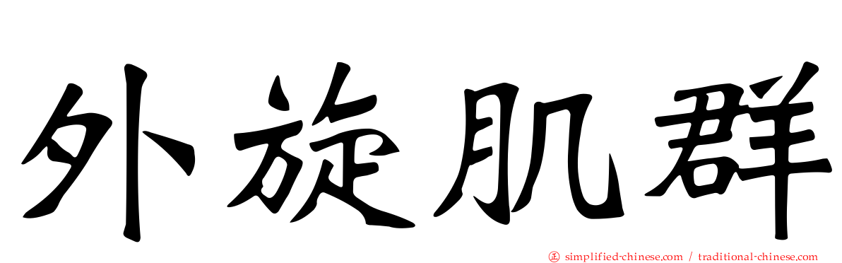 外旋肌群
