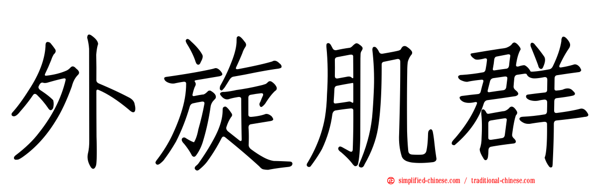 外旋肌群