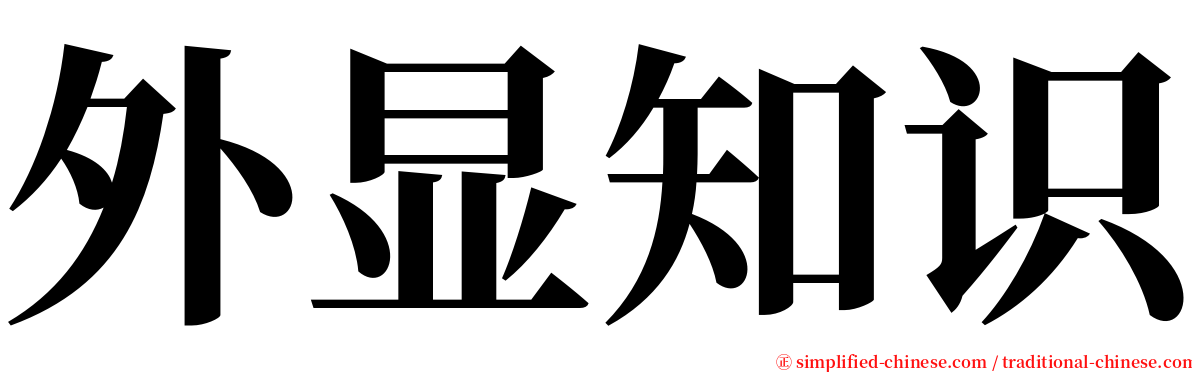 外显知识 serif font