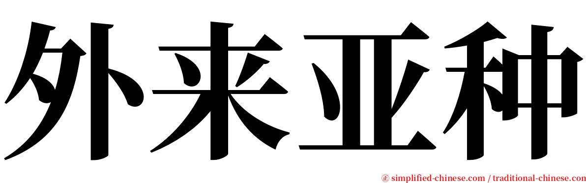 外来亚种 serif font