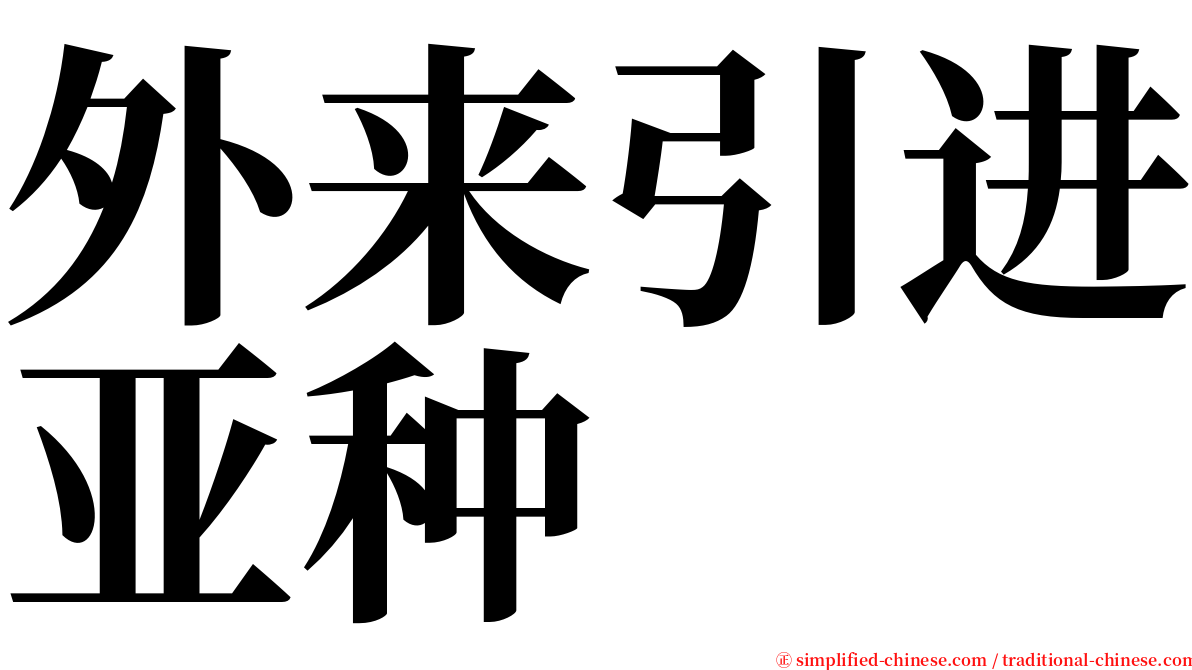 外来引进亚种 serif font