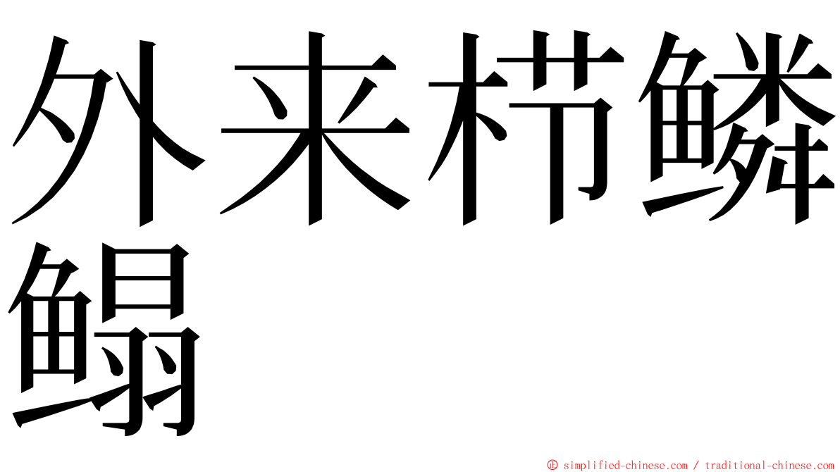 外来栉鳞鳎 ming font