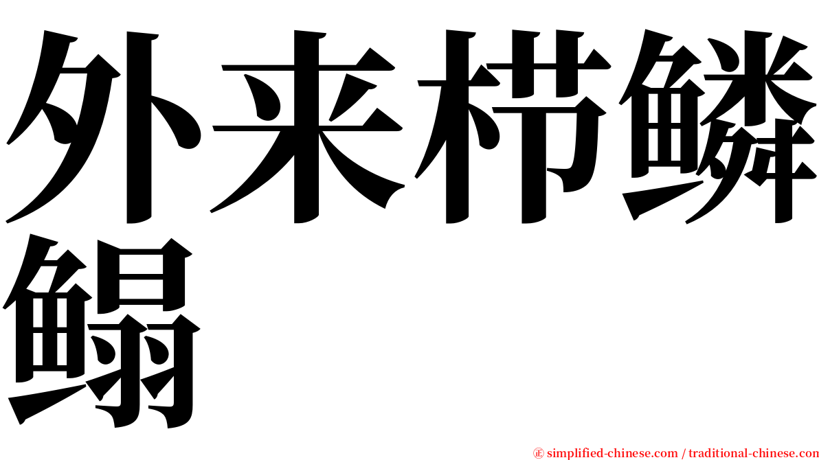 外来栉鳞鳎 serif font