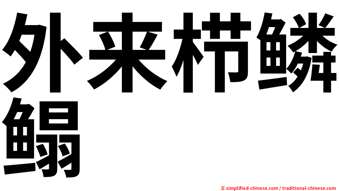 外来栉鳞鳎