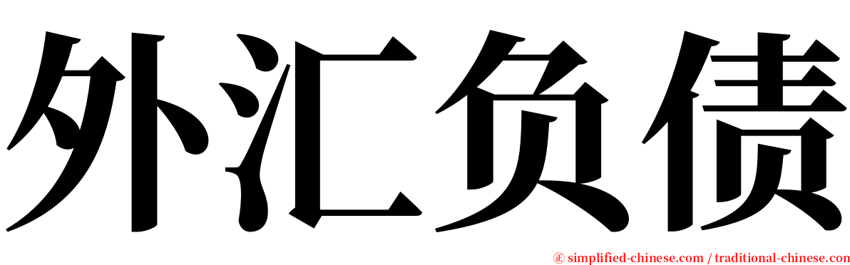外汇负债 serif font