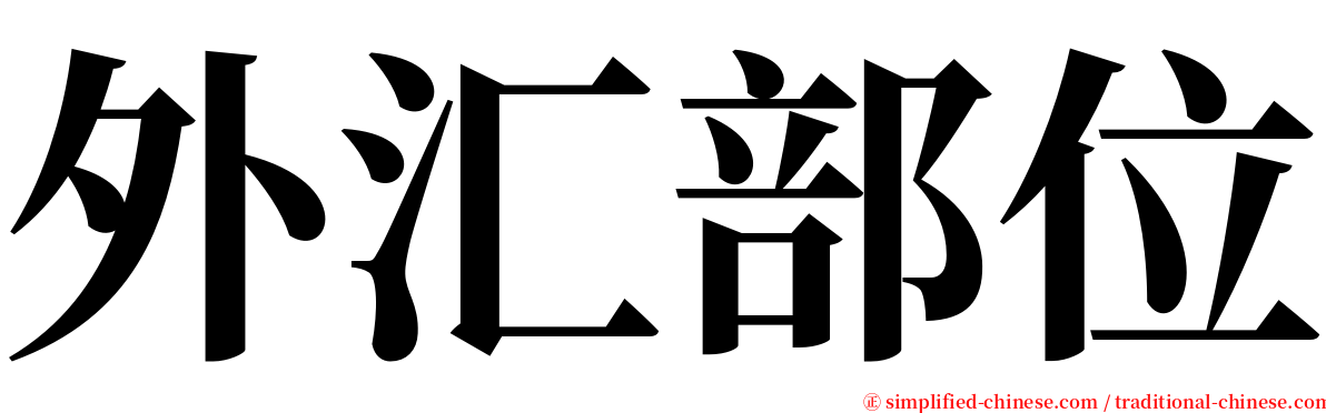 外汇部位 serif font