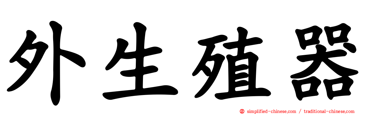 外生殖器