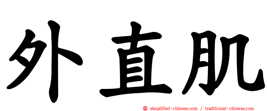 外直肌