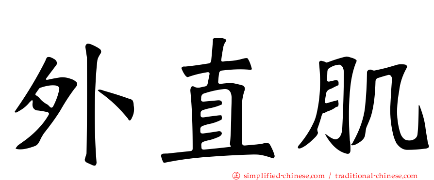 外直肌