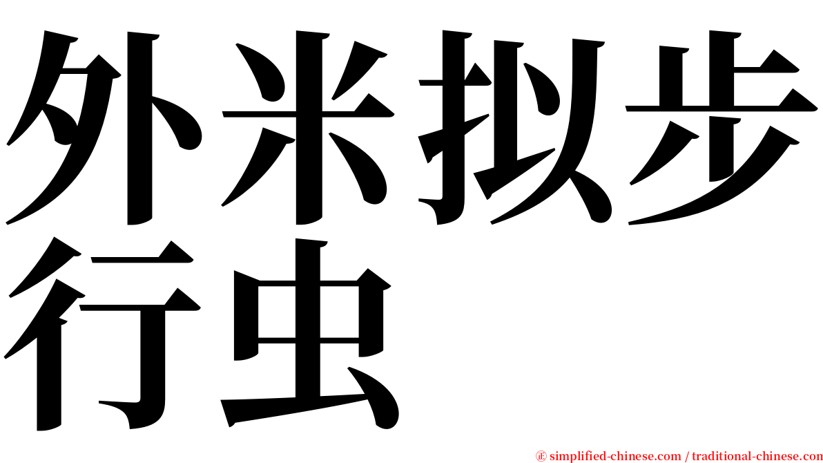外米拟步行虫 serif font