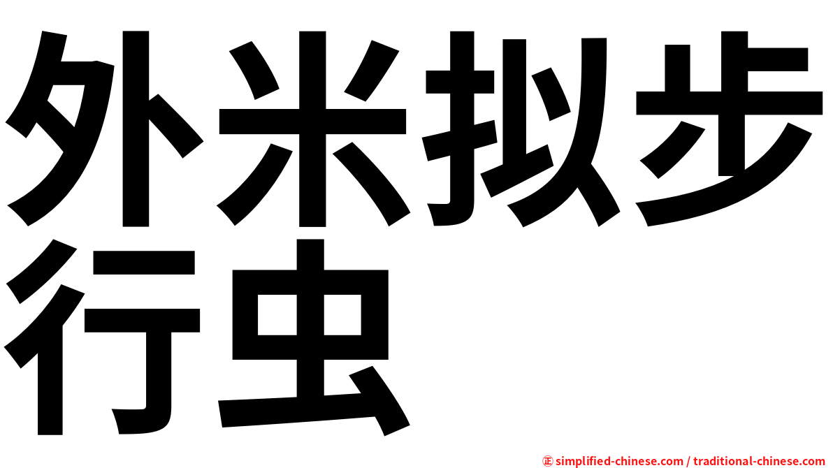 外米拟步行虫