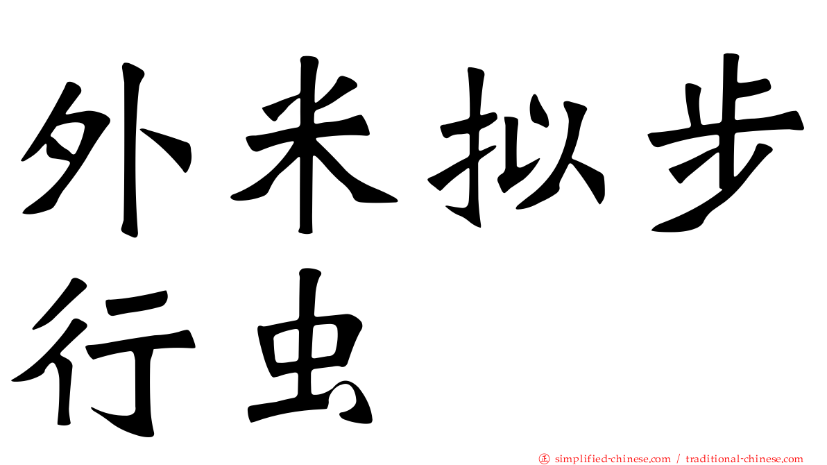 外米拟步行虫