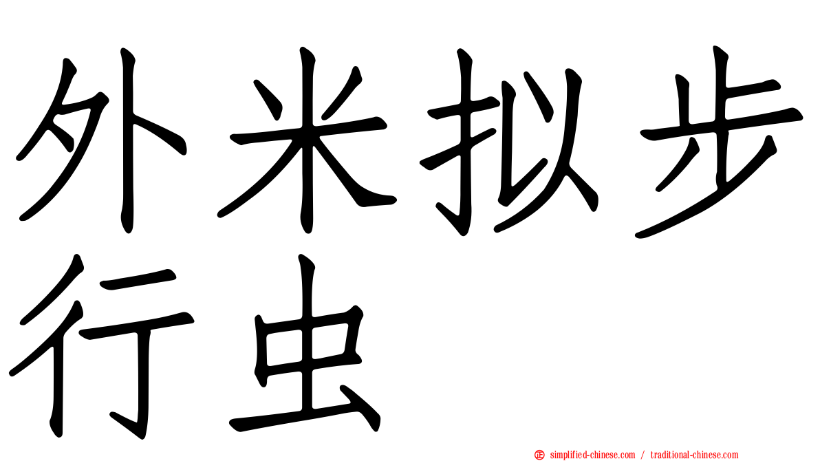 外米拟步行虫