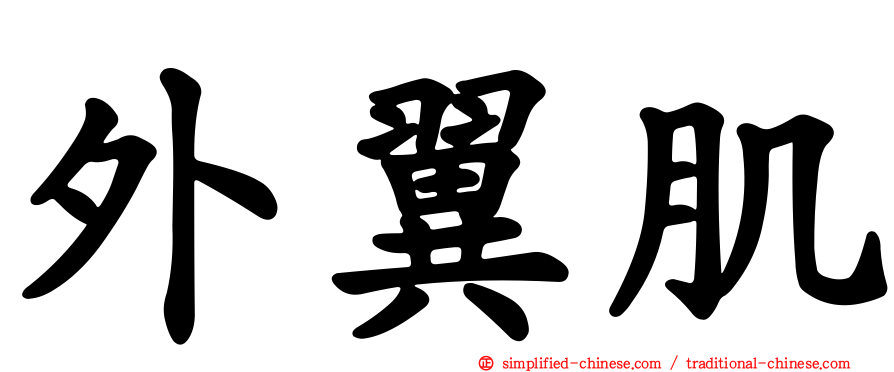 外翼肌