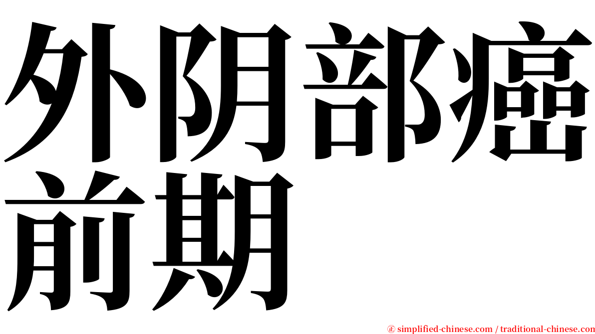 外阴部癌前期 serif font
