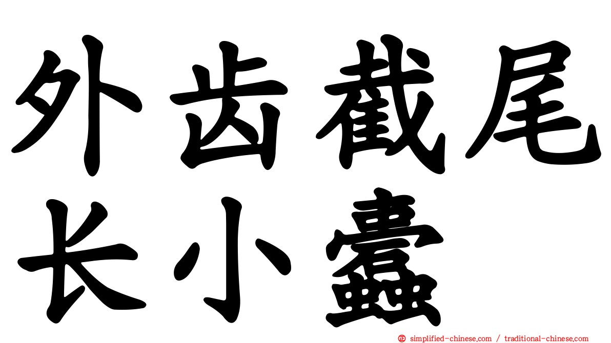 外齿截尾长小蠹