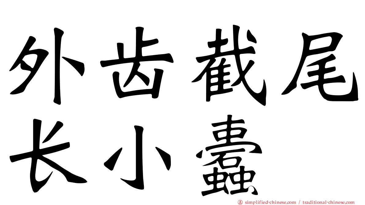 外齿截尾长小蠹