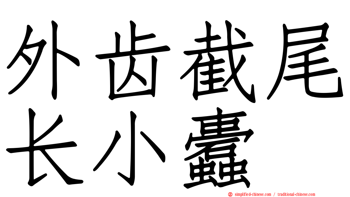 外齿截尾长小蠹