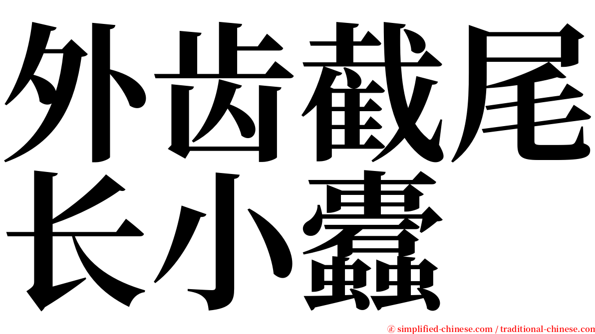 外齿截尾长小蠹 serif font
