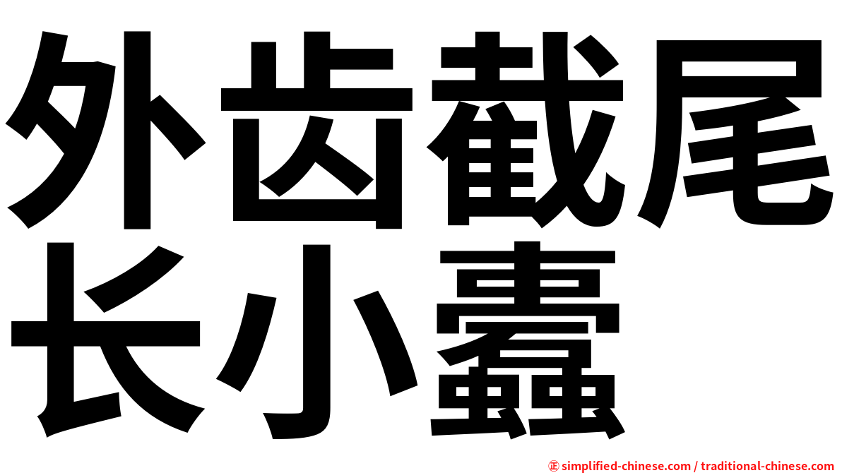 外齿截尾长小蠹