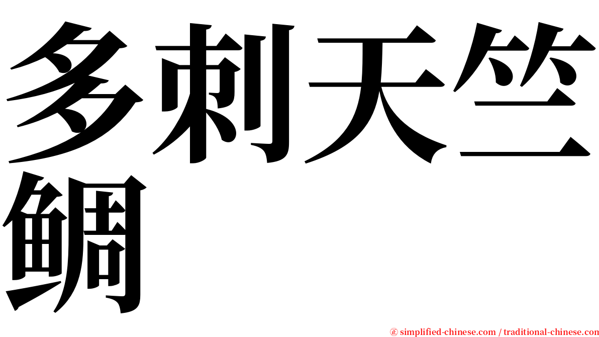 多刺天竺鲷 serif font