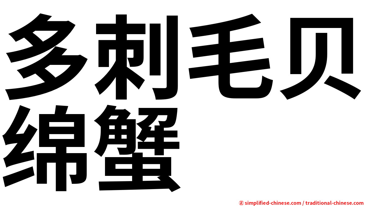 多刺毛贝绵蟹