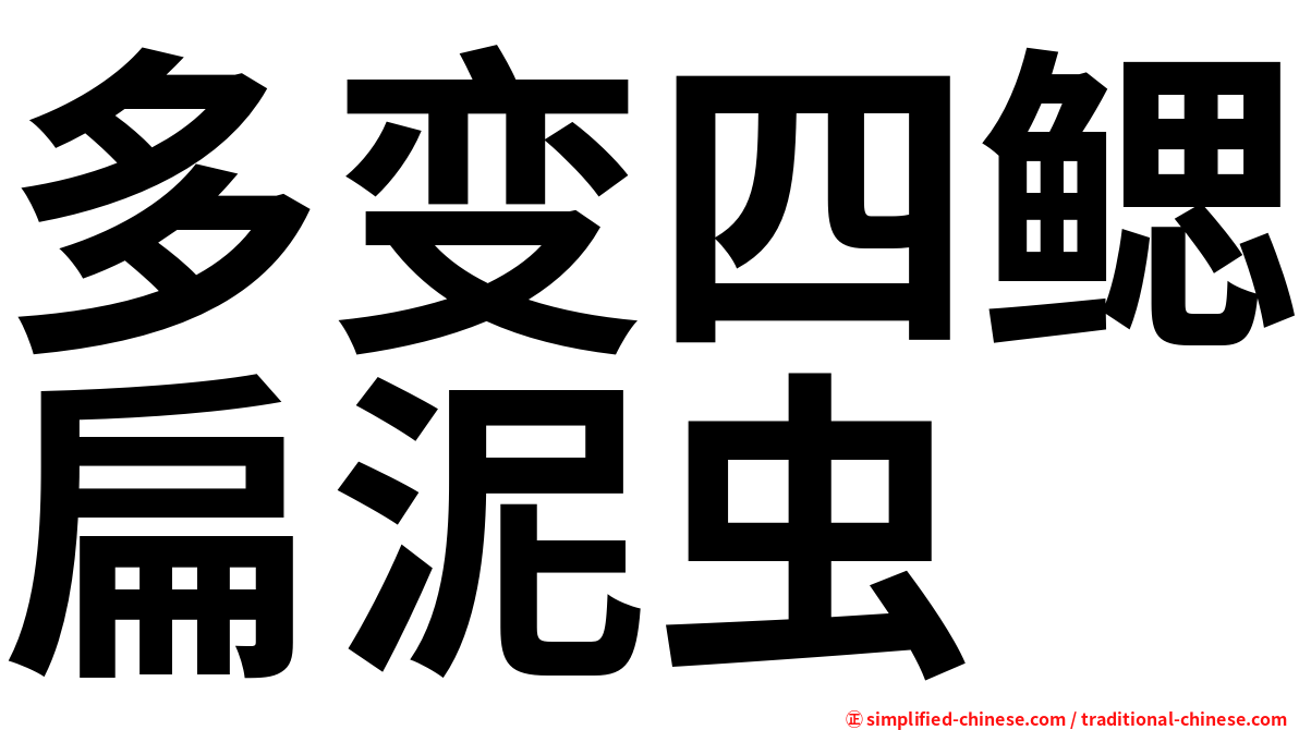 多变四鳃扁泥虫