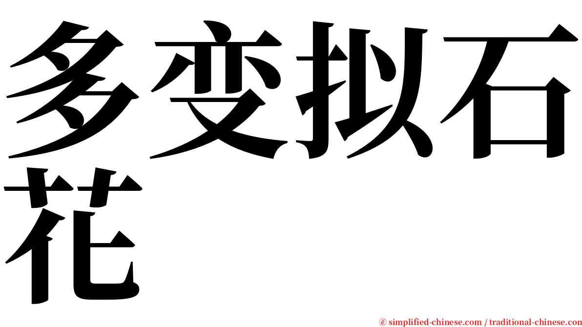 多变拟石花 serif font