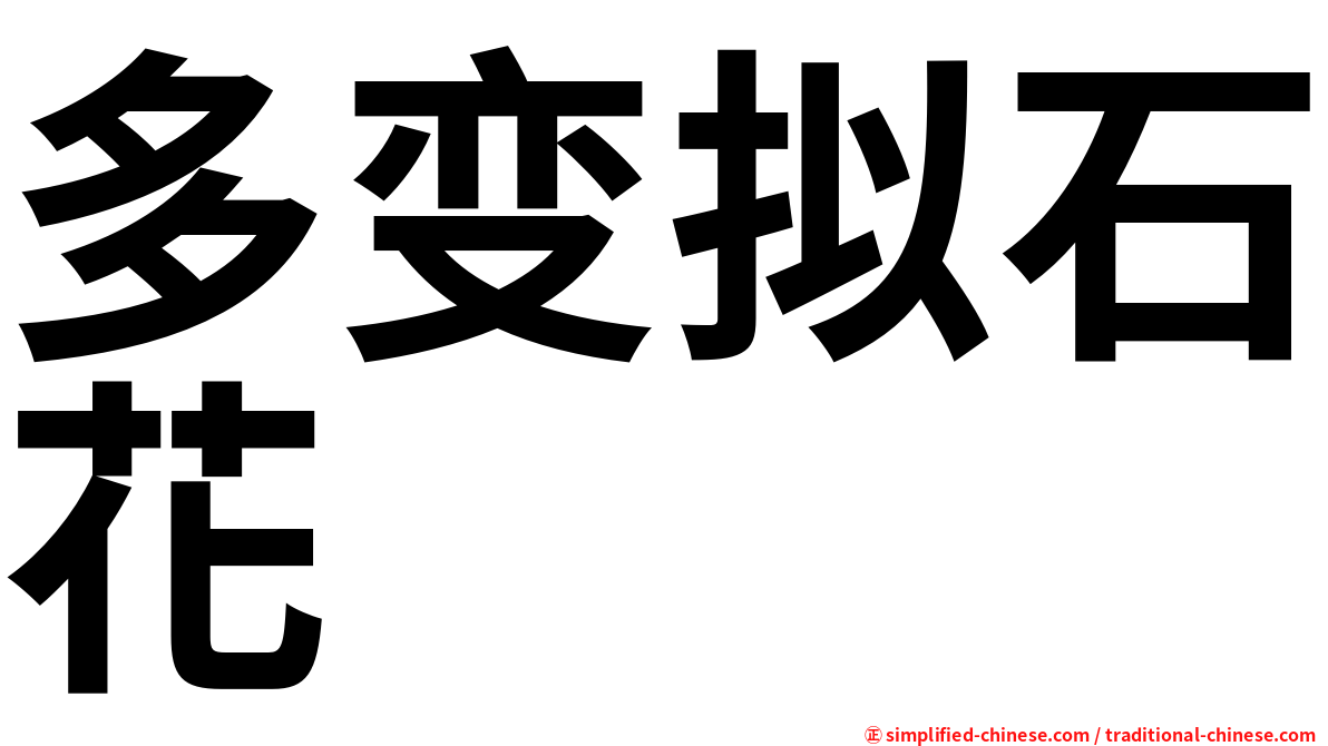 多变拟石花