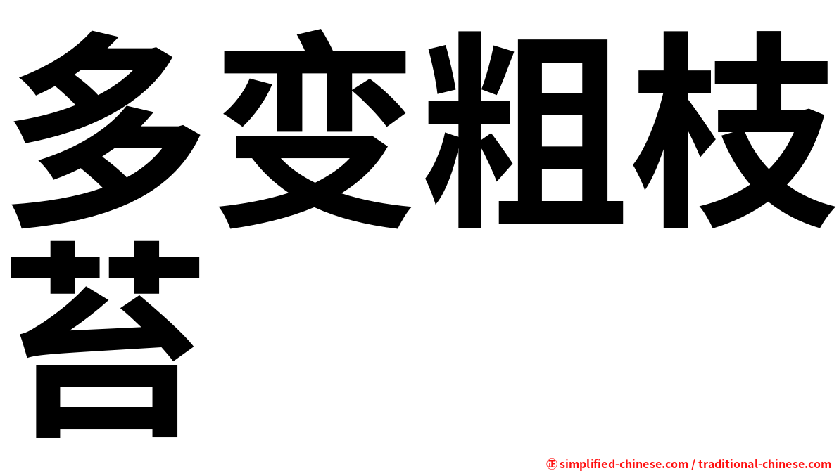 多变粗枝苔