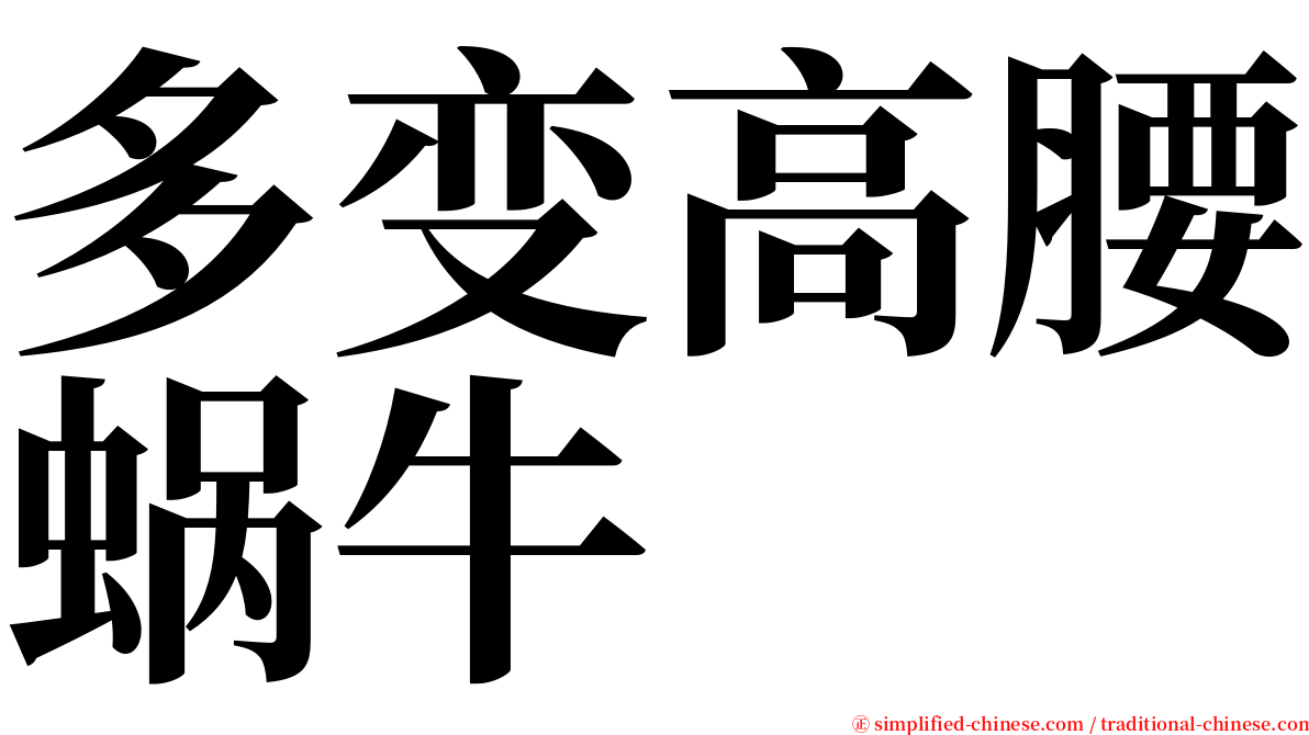 多变高腰蜗牛 serif font